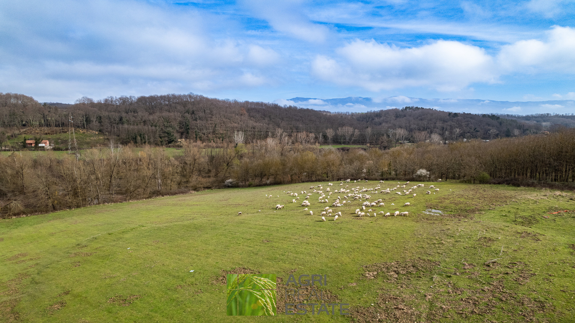 /api/file/public/265429/31284