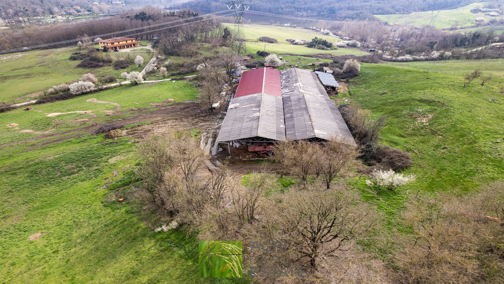 /api/file/public/265429/31287