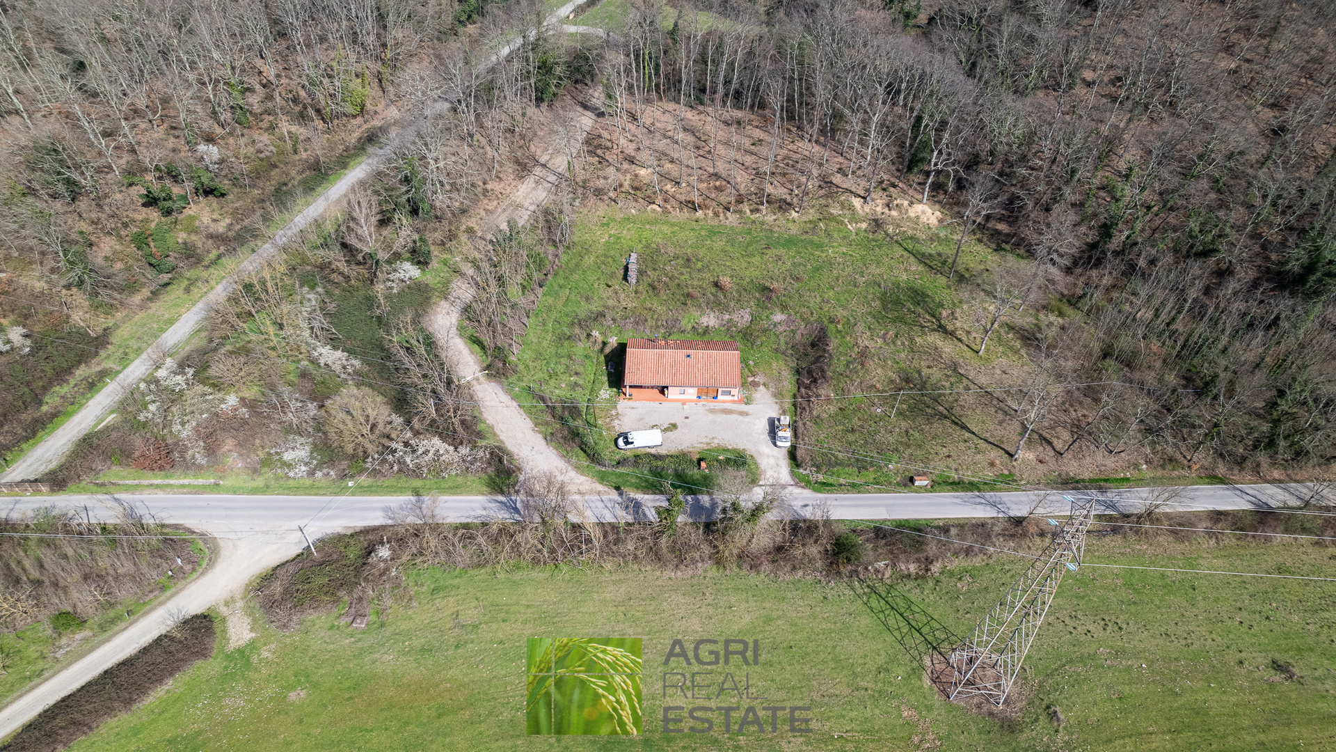 /api/file/public/265429/31289