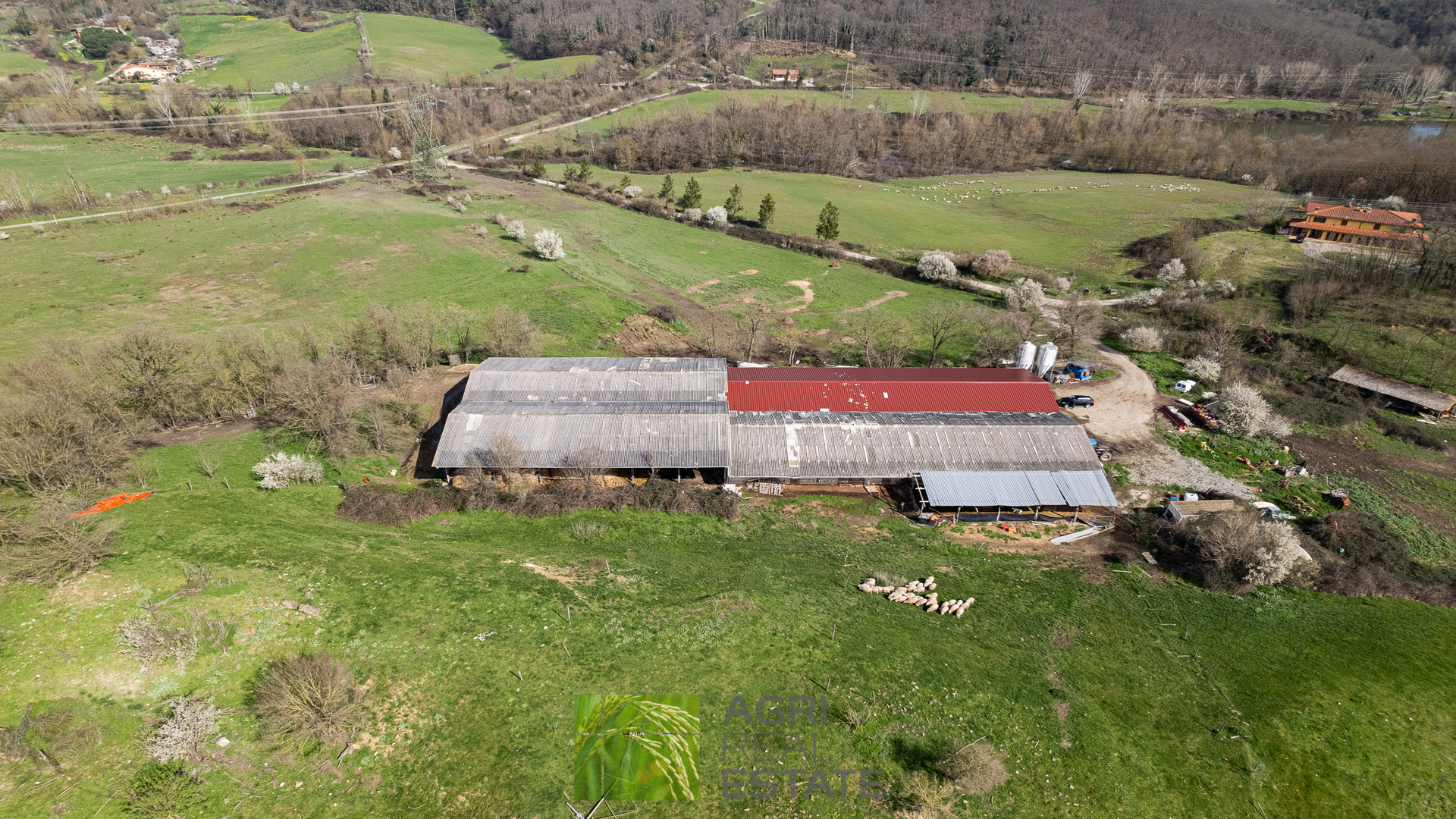 /api/file/public/265429/31290