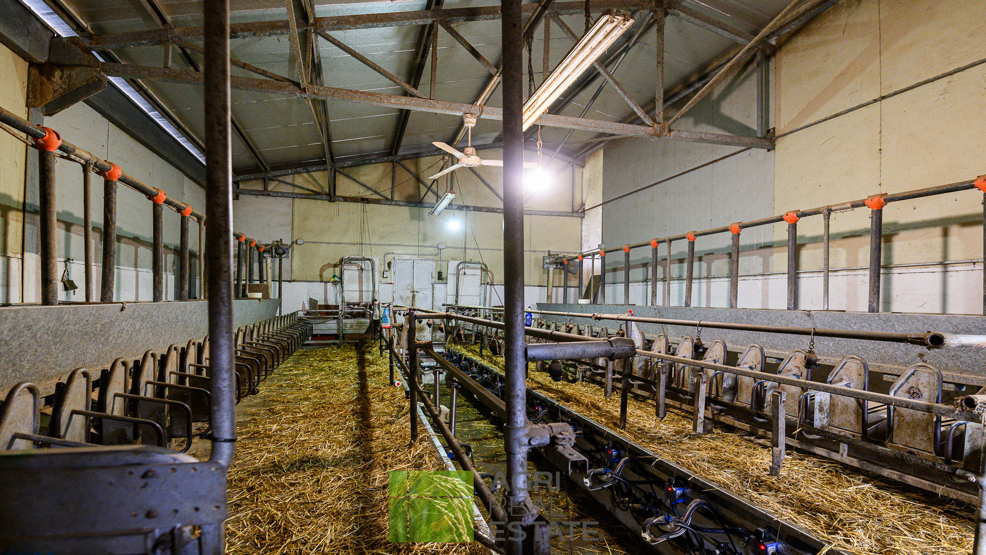 /api/file/public/265429/31292