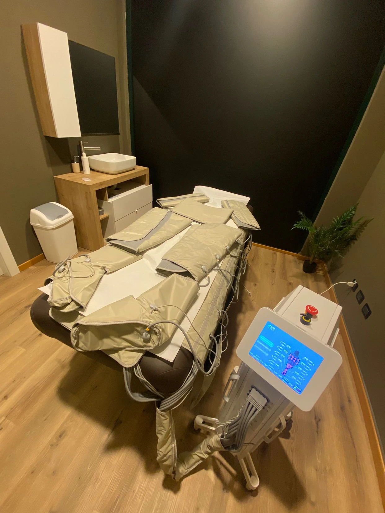 /api/file/public/265431/31299