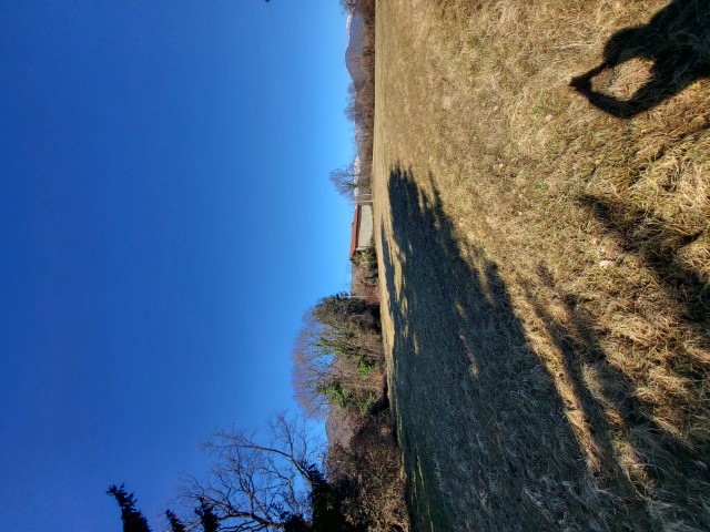 /api/file/public/265432/31301