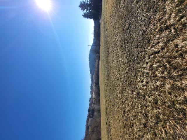 /api/file/public/265432/31302