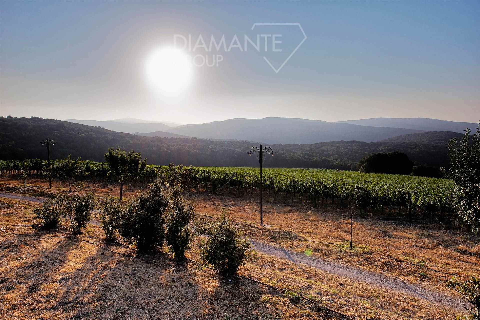 /api/file/public/265434/31307