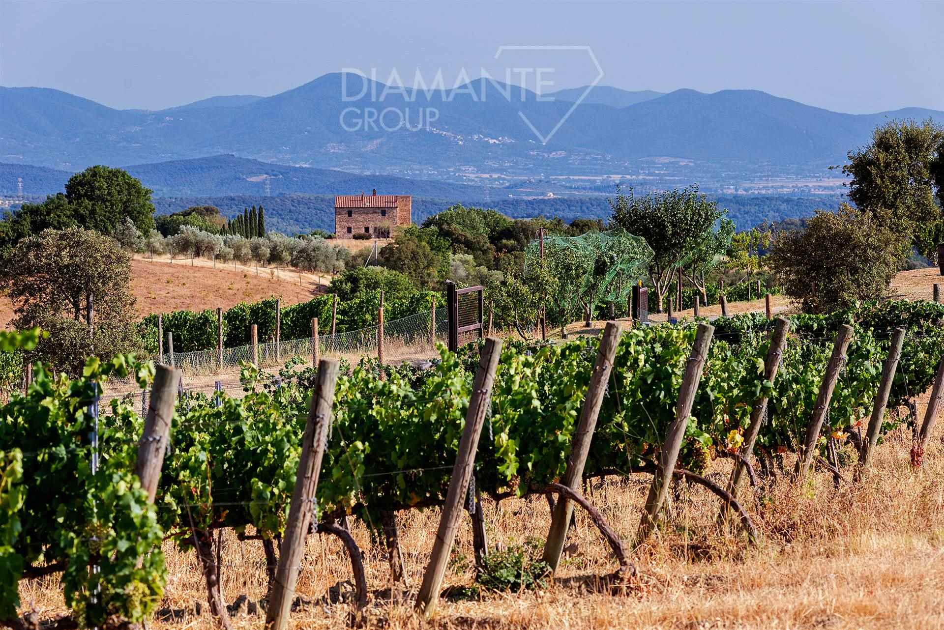 /api/file/public/265434/31308