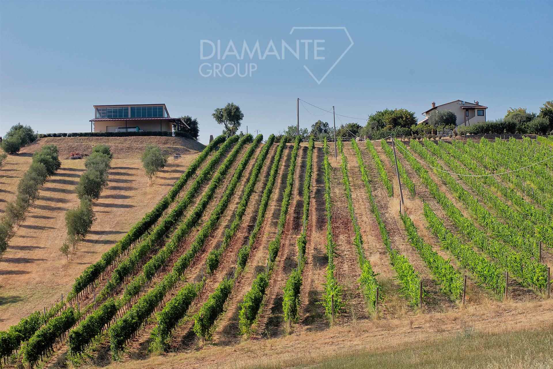 /api/file/public/265434/31309