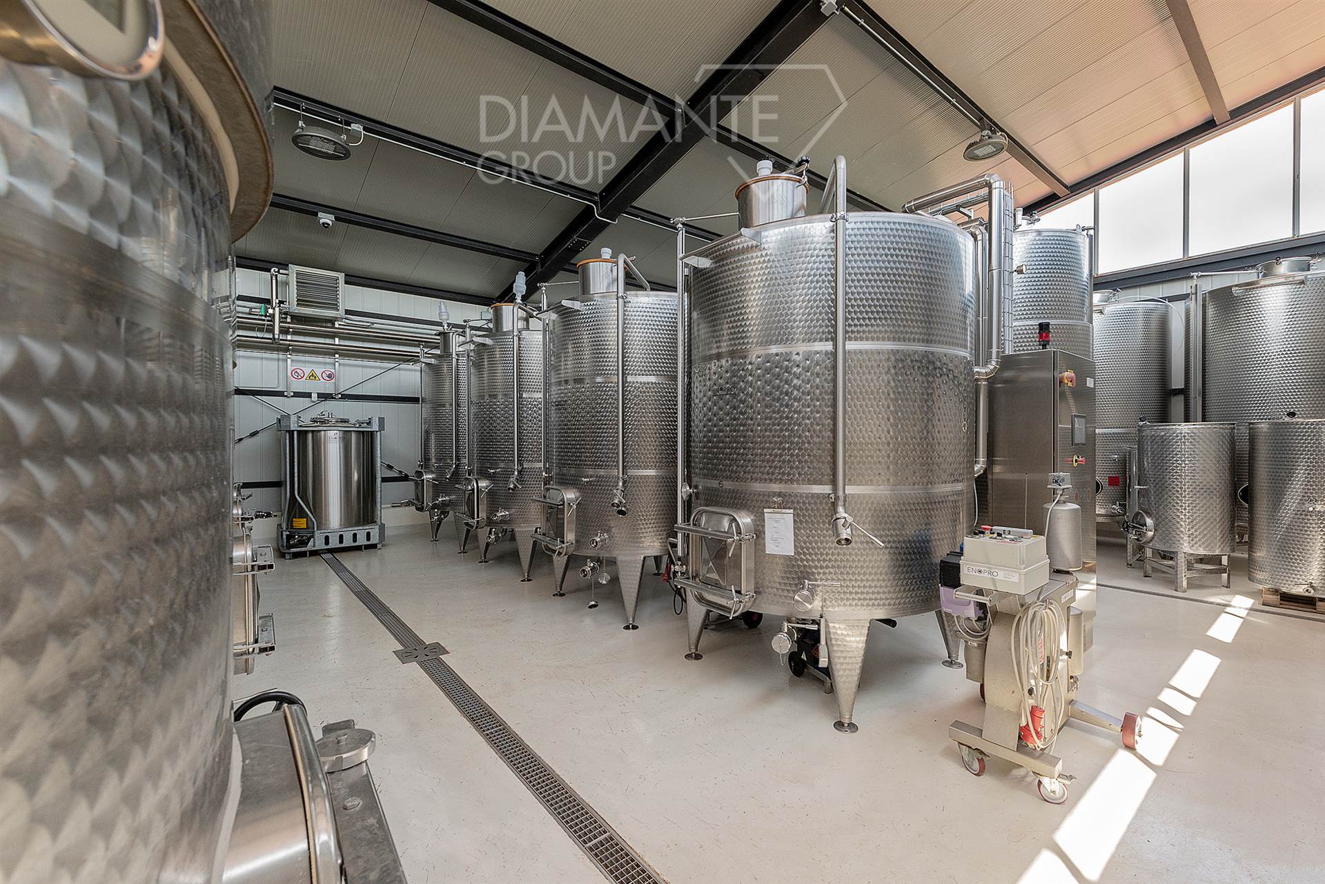 /api/file/public/265434/31310