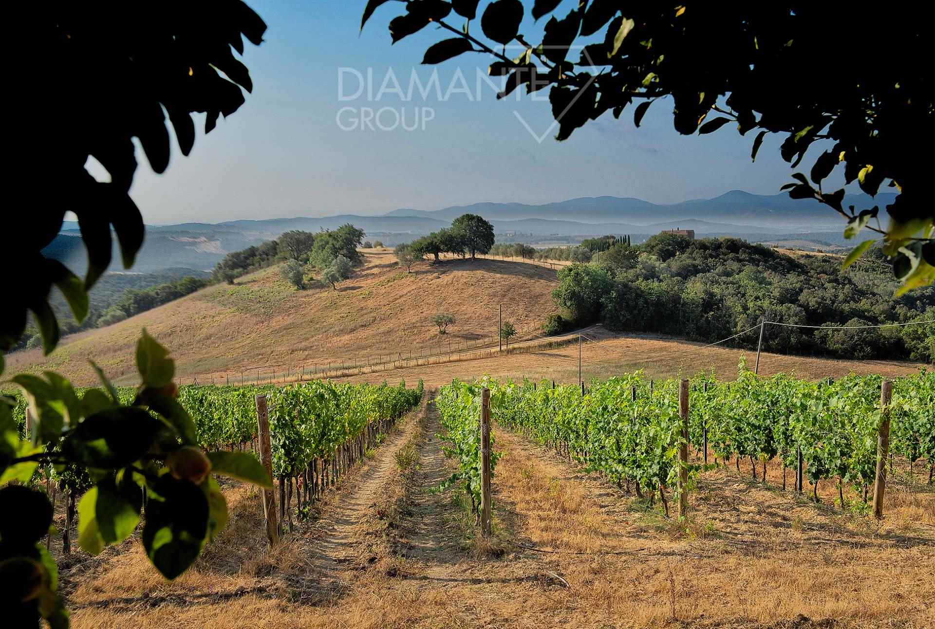 /api/file/public/265434/31313