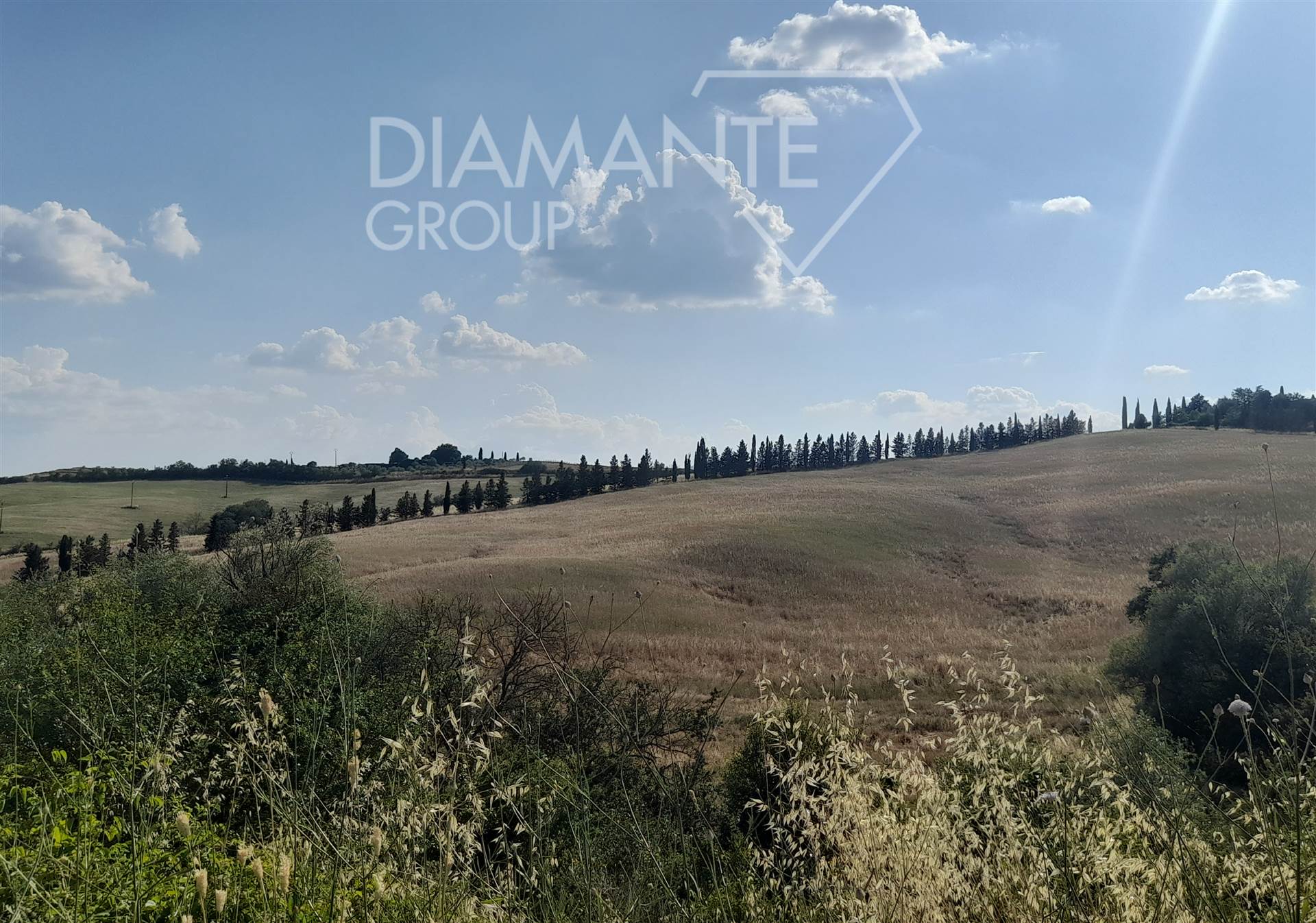 /api/file/public/265437/31323