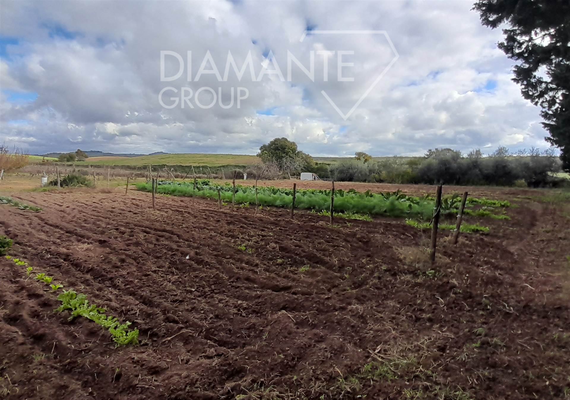 /api/file/public/265438/31328