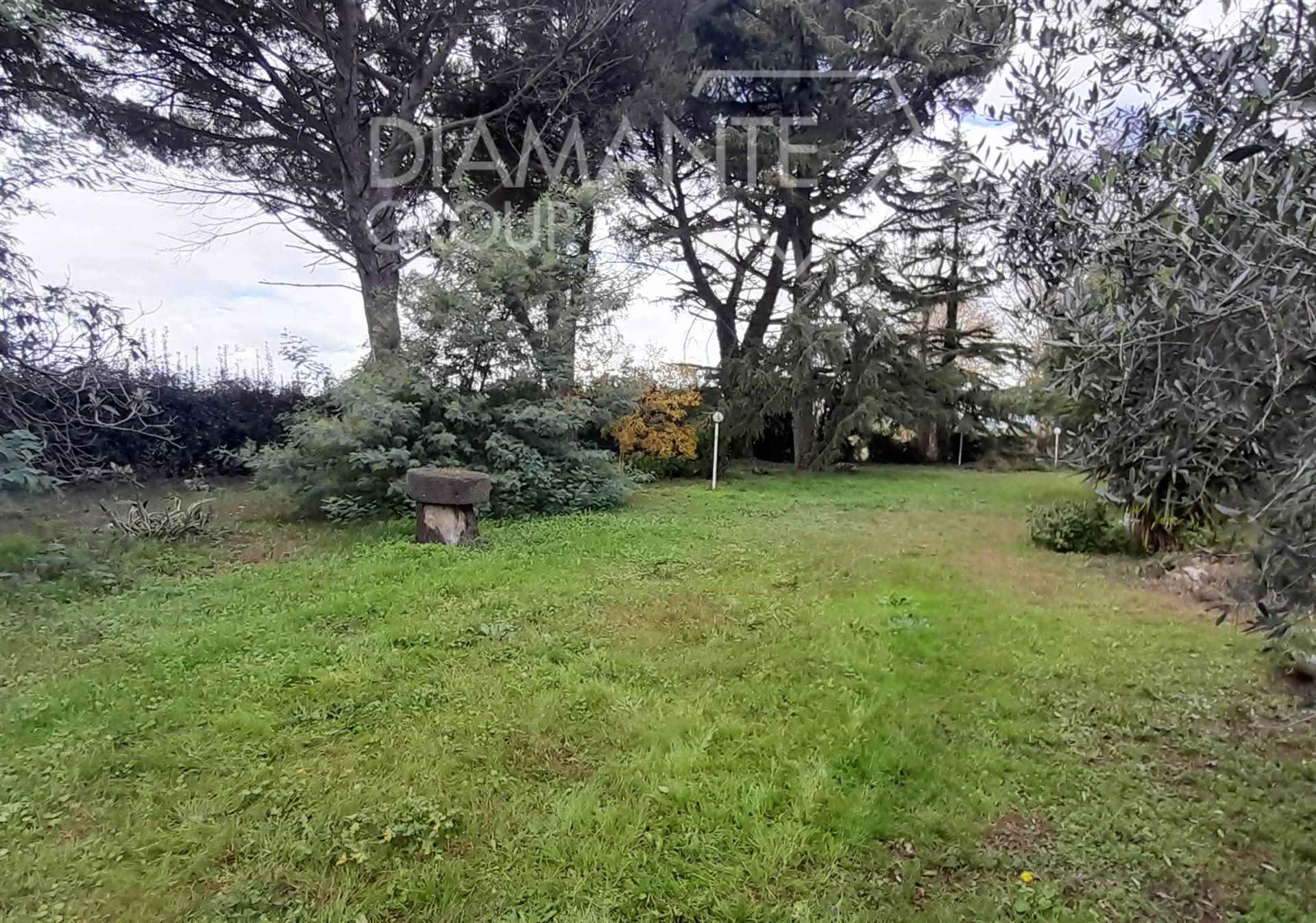 /api/file/public/265438/31330