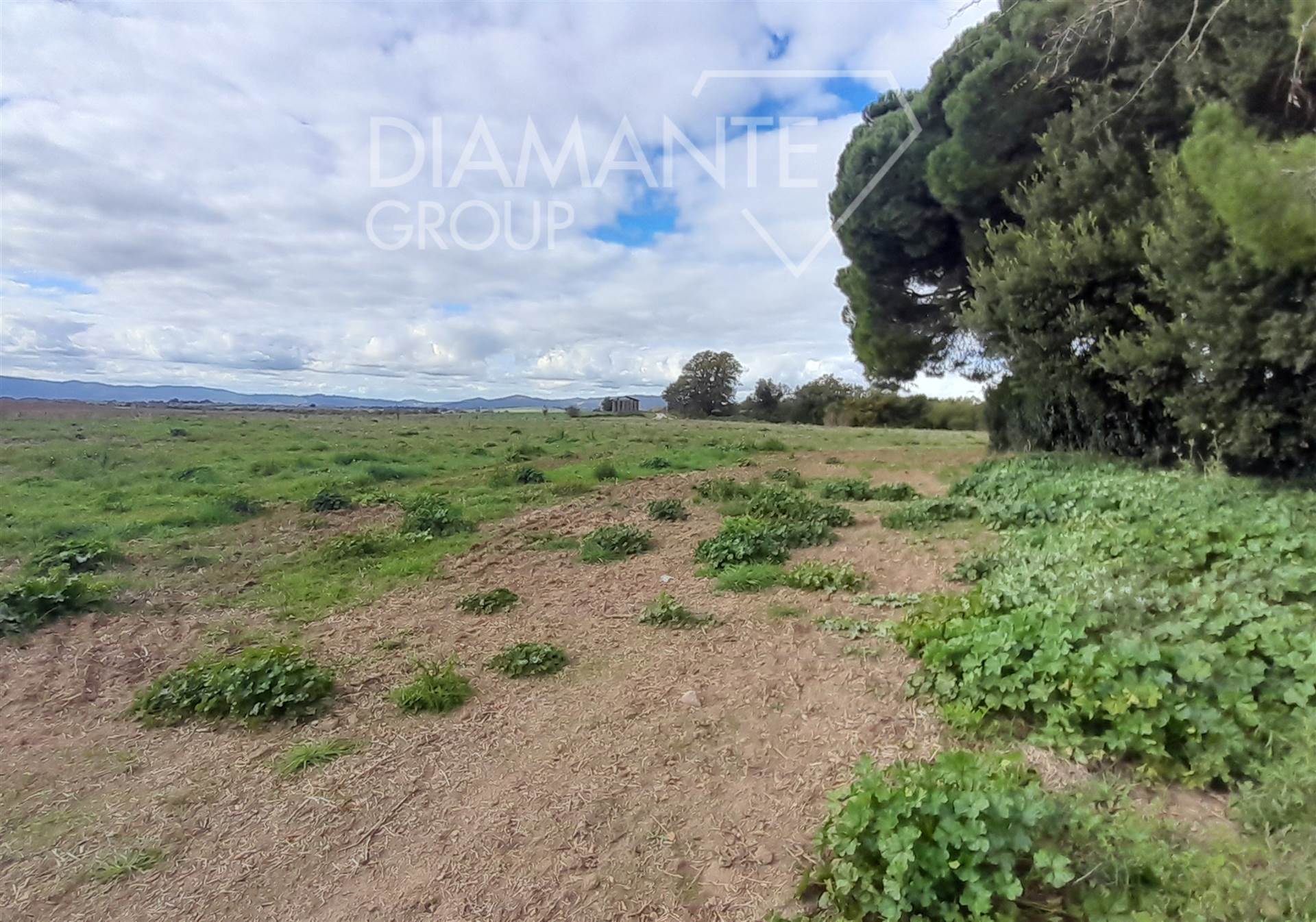 /api/file/public/265438/31332