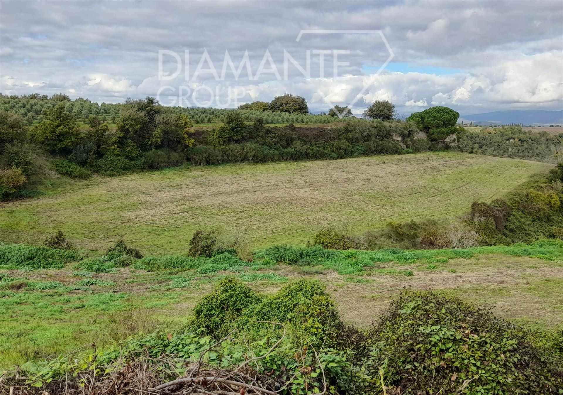 /api/file/public/265438/31333