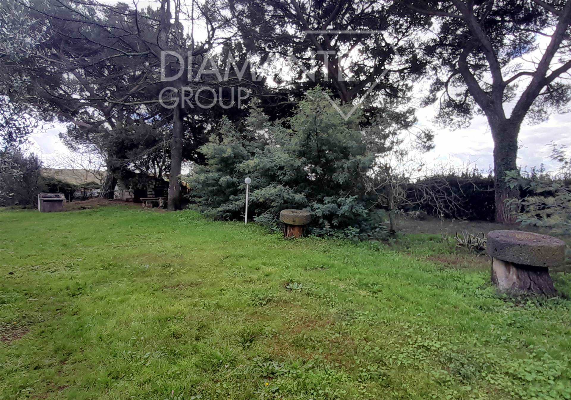 /api/file/public/265438/31334