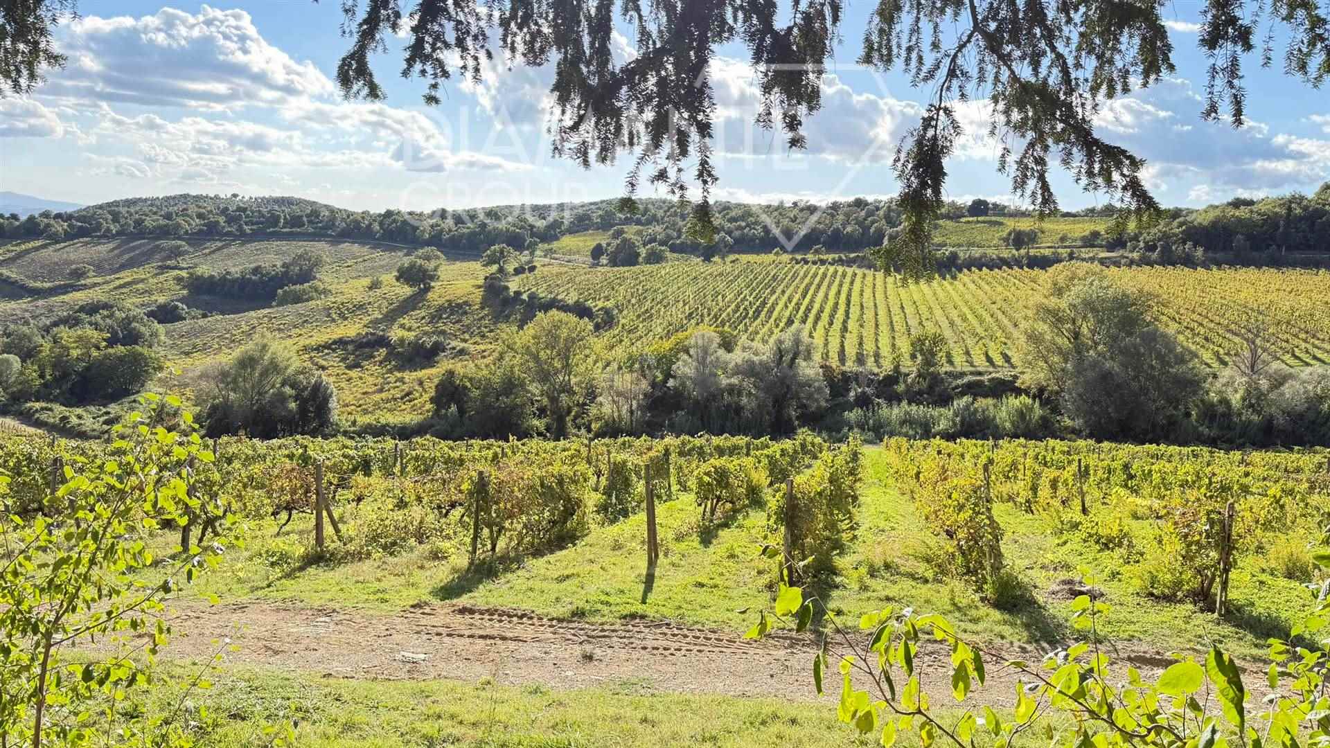 /api/file/public/265439/31336