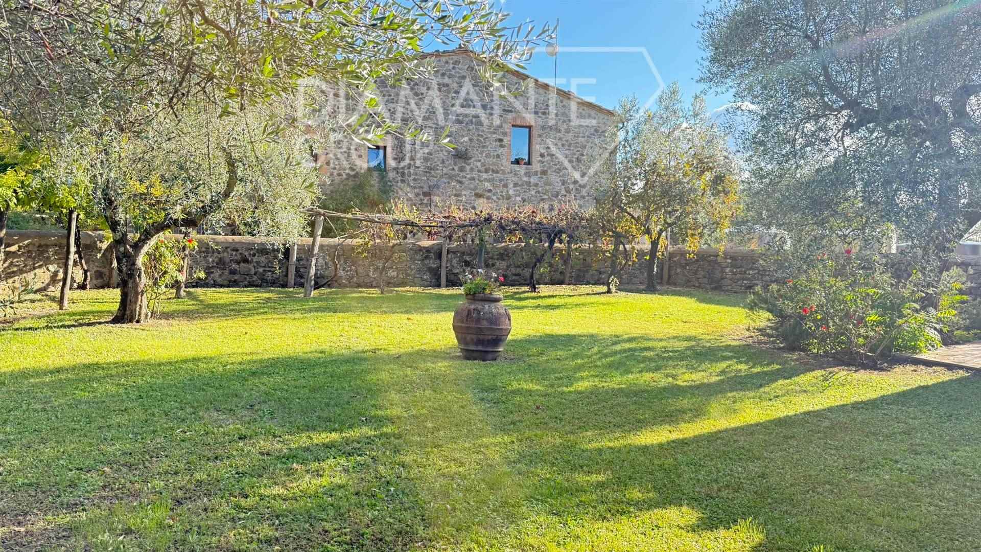 /api/file/public/265439/31339