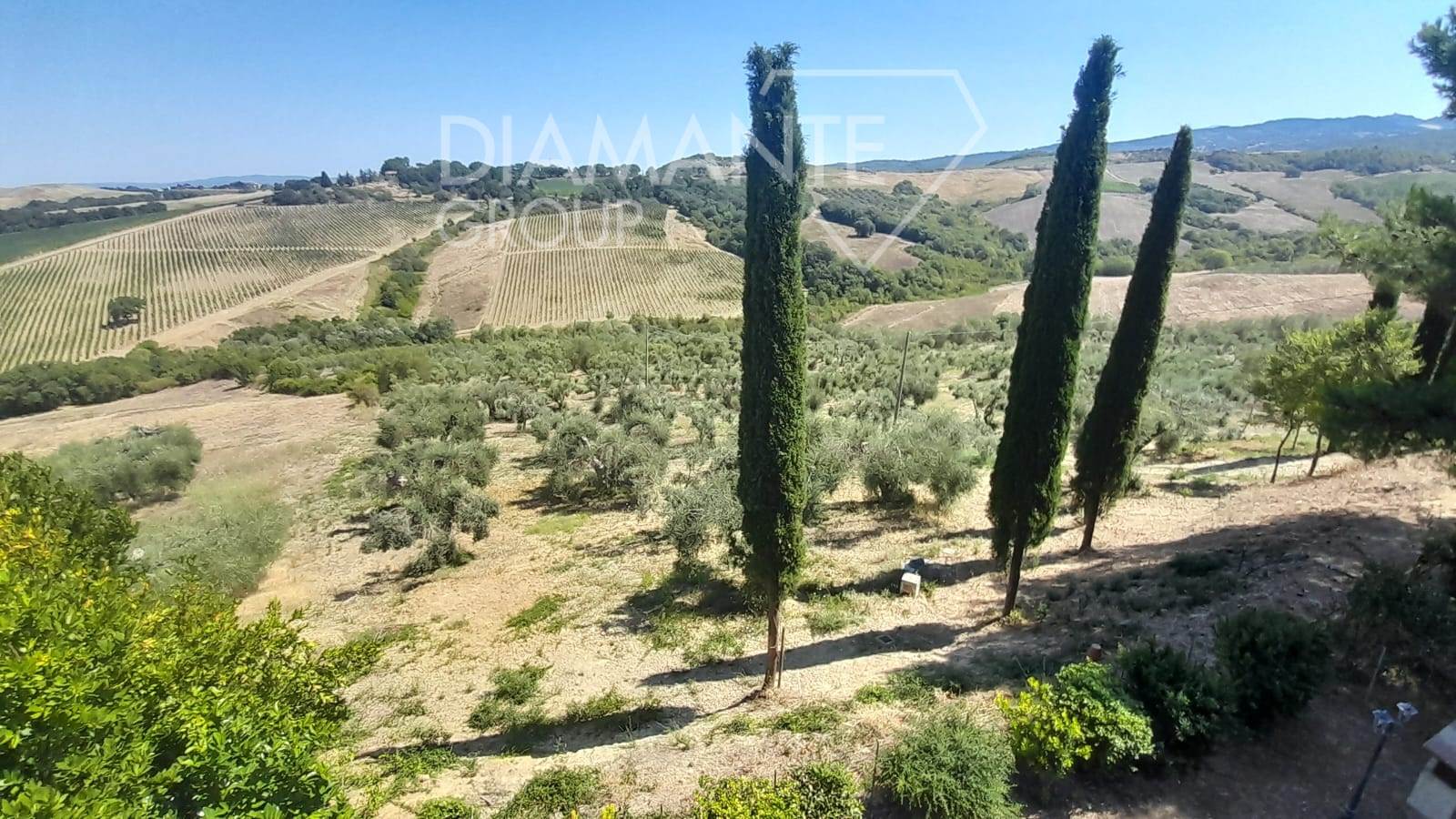 /api/file/public/265440/31350