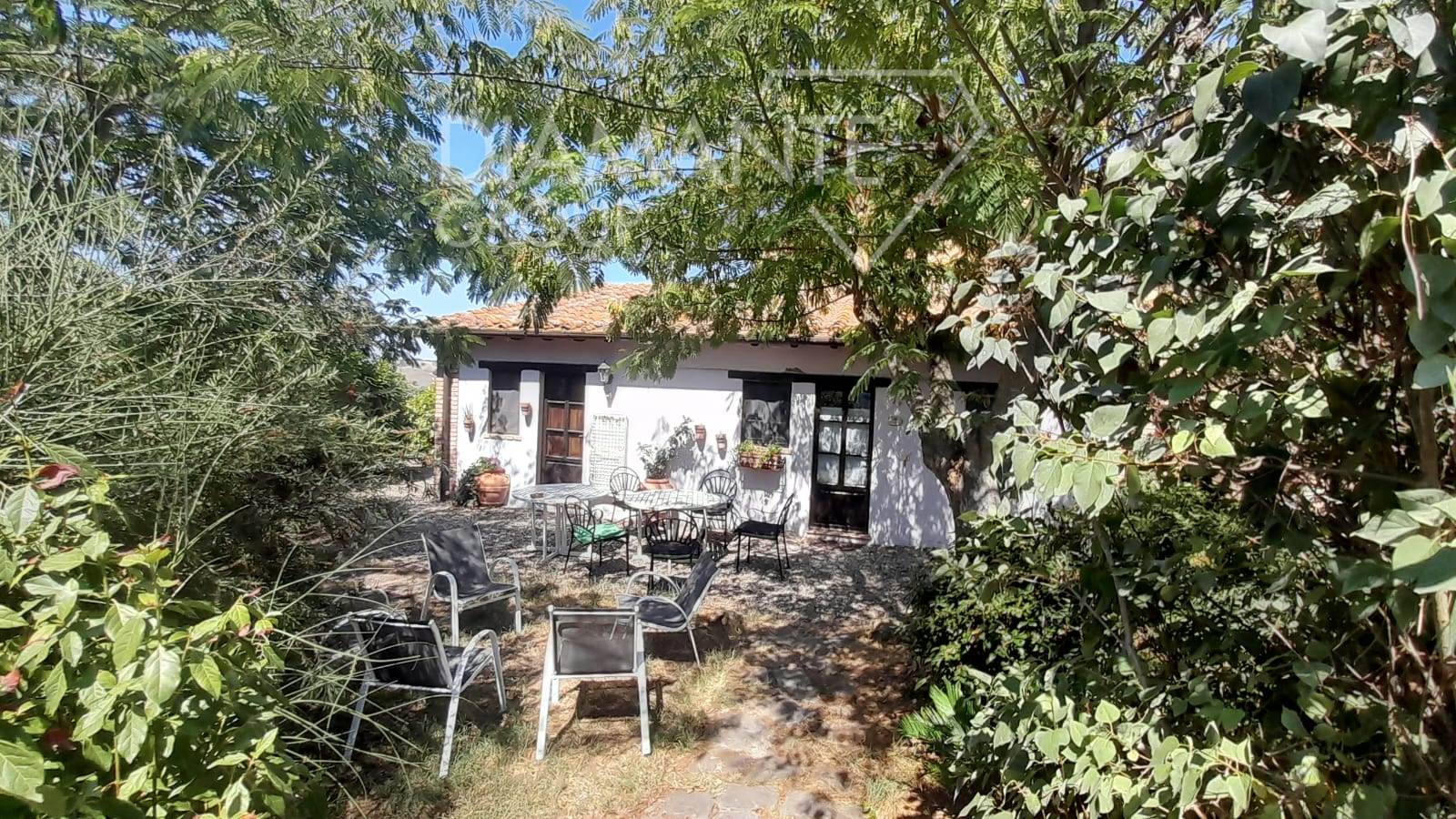 /api/file/public/265440/31351