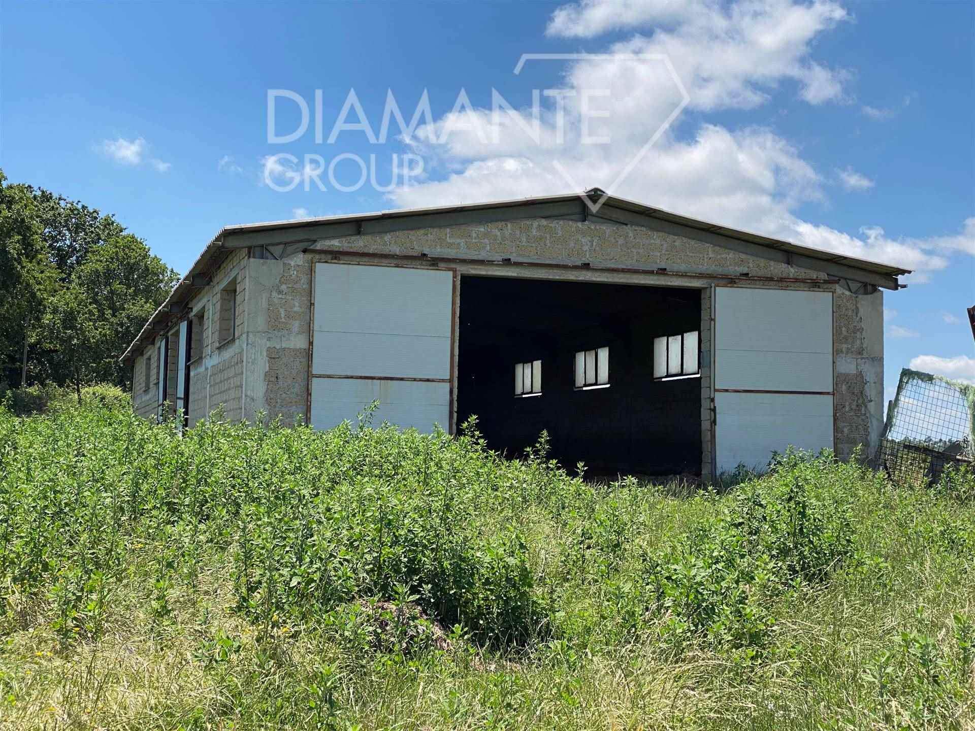 /api/file/public/265441/31353