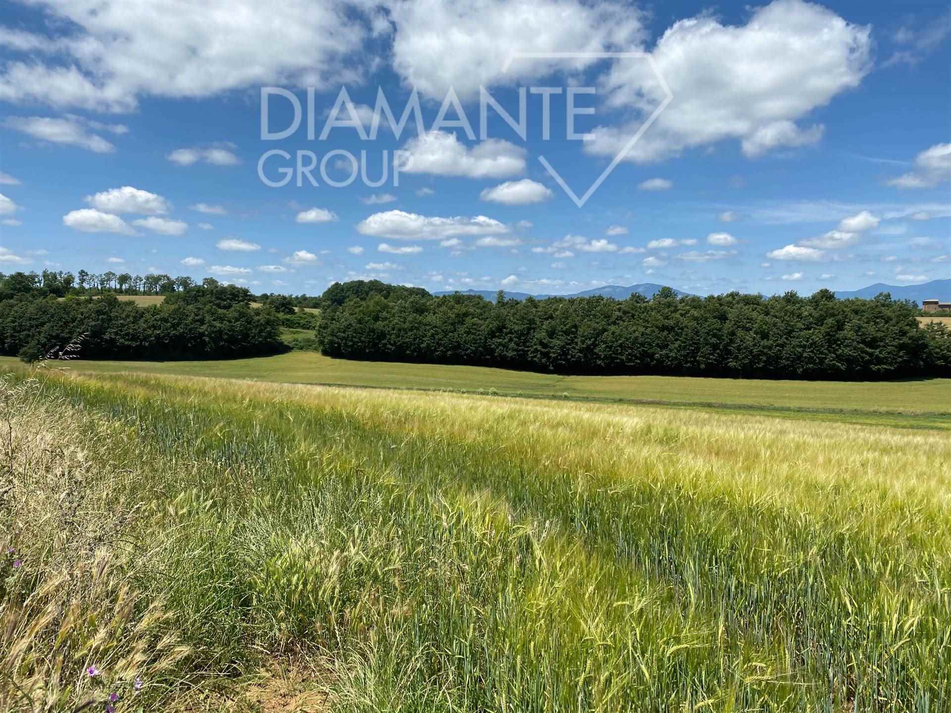 /api/file/public/265441/31354