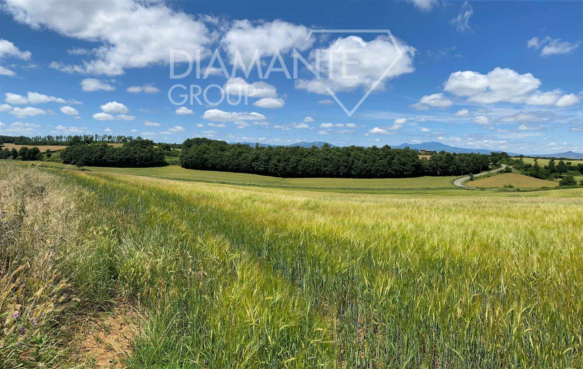 /api/file/public/265441/31357