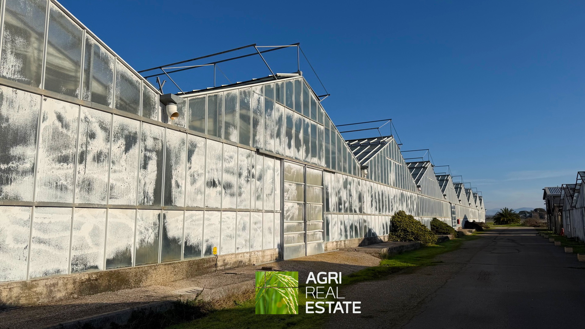 /api/file/public/265444/31363