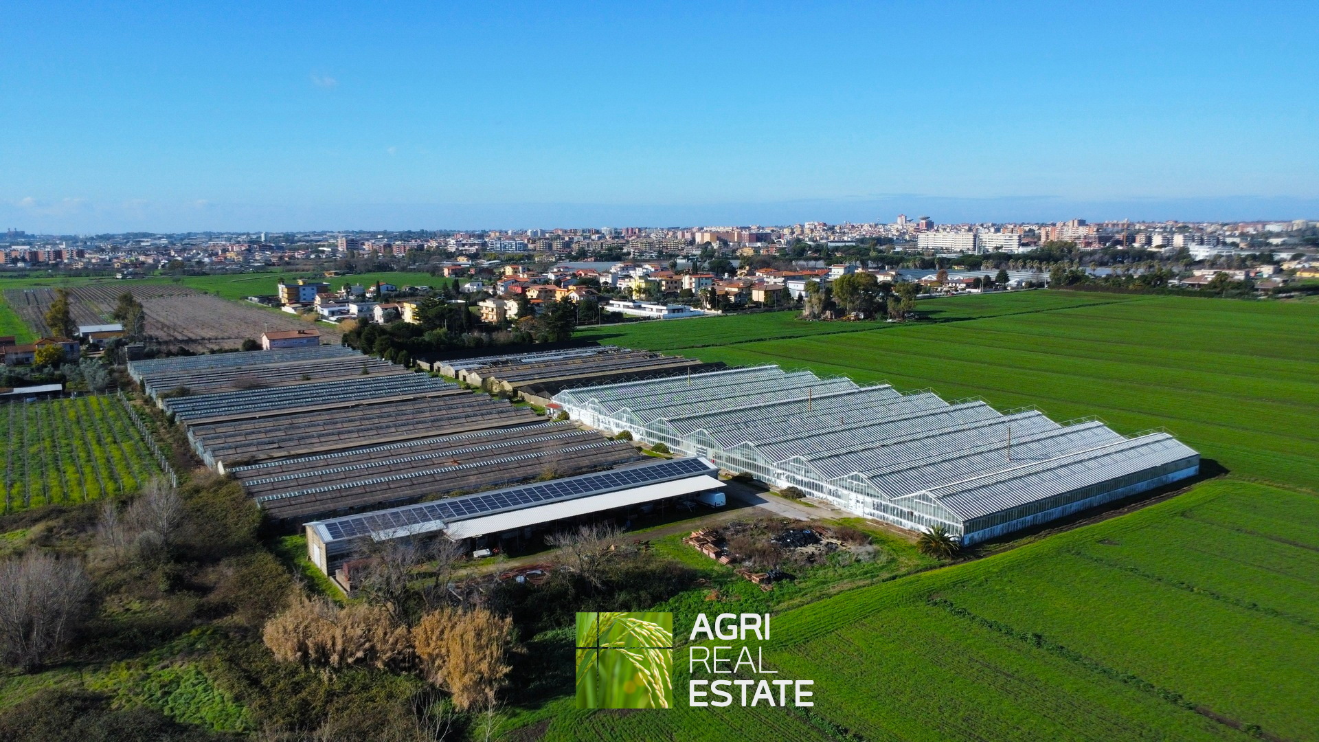 /api/file/public/265444/31365