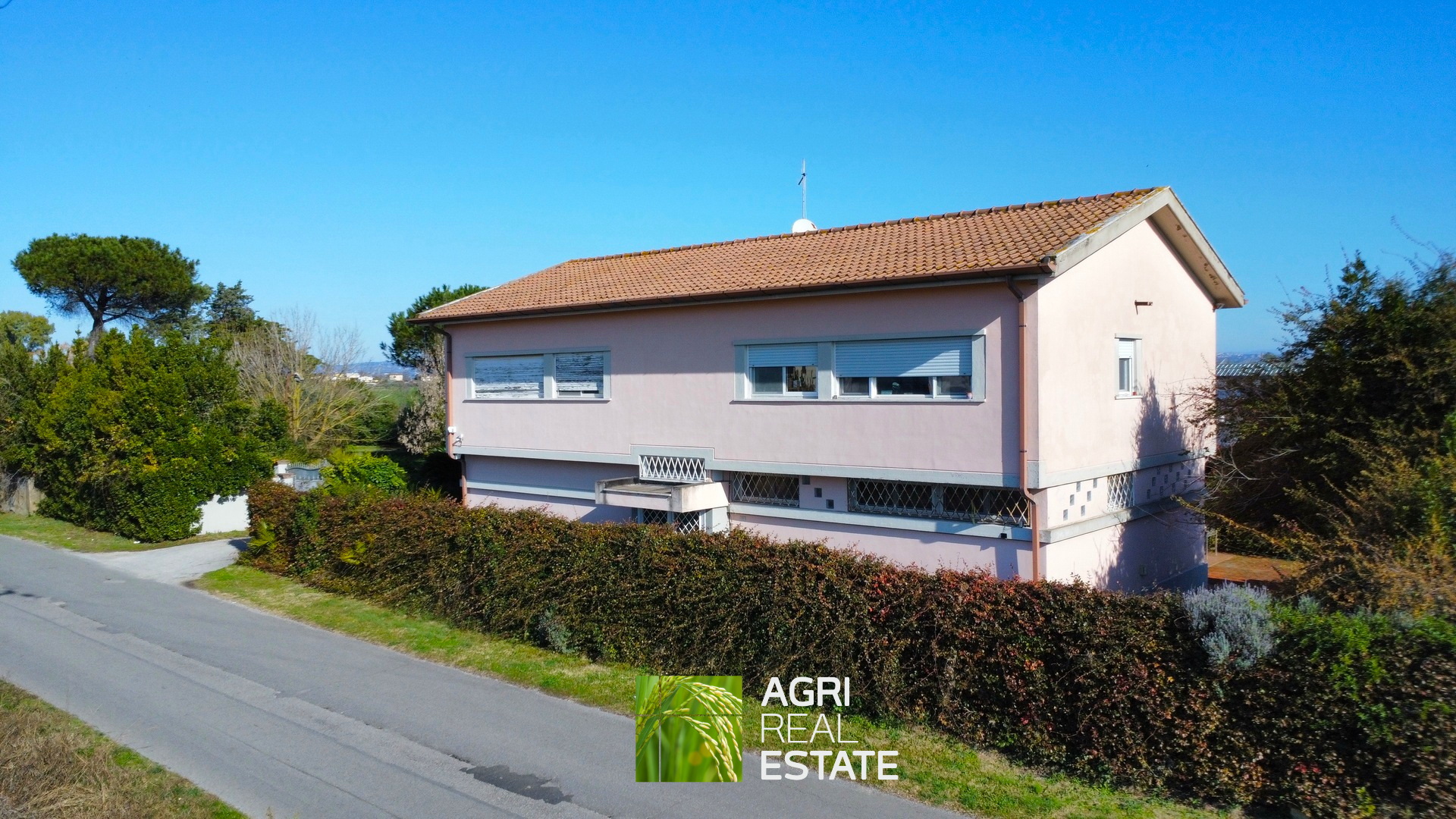 /api/file/public/265444/31367