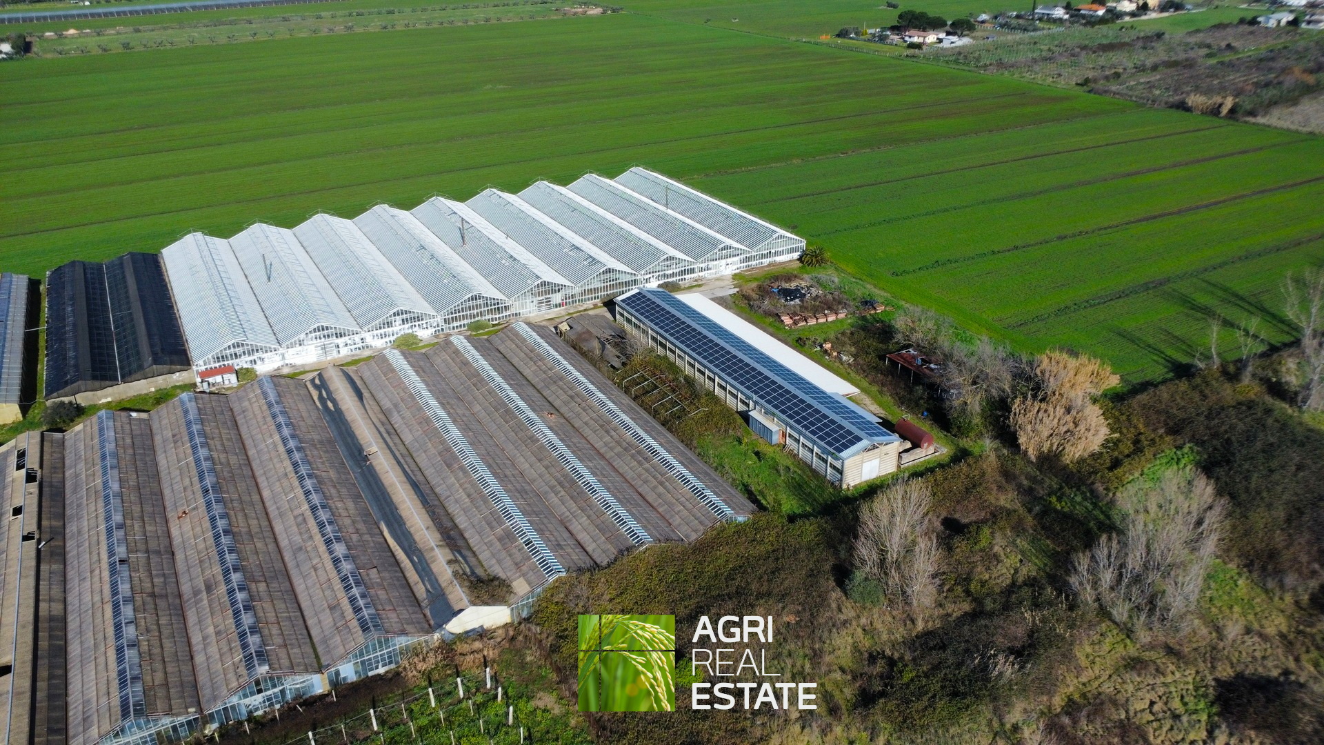 /api/file/public/265444/31368