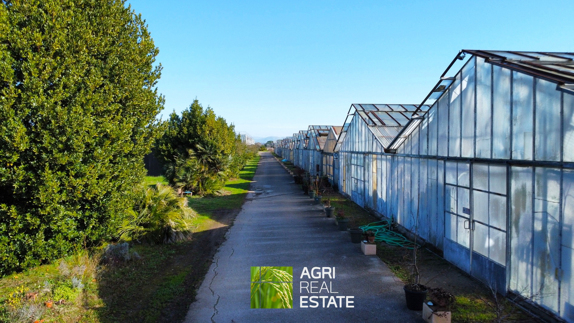 /api/file/public/265444/31370