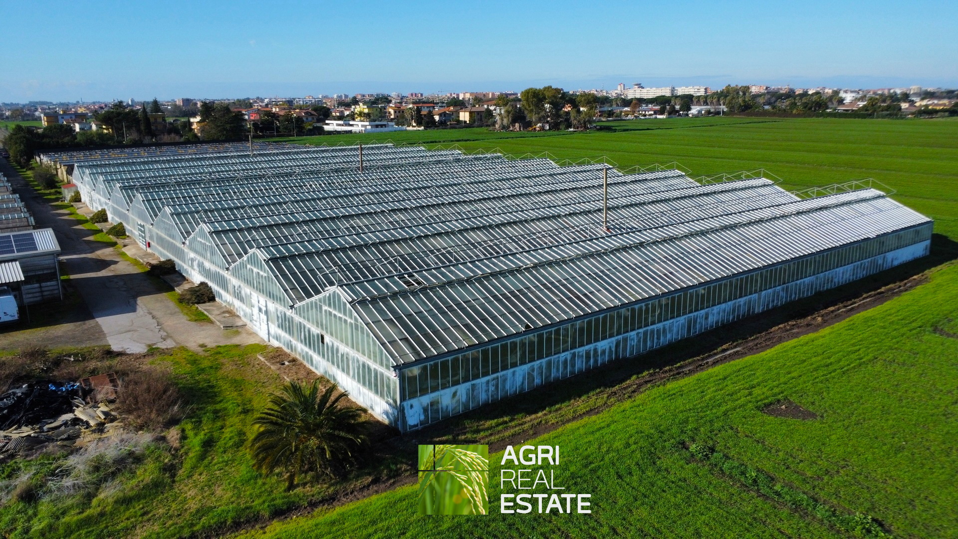 /api/file/public/265444/31371