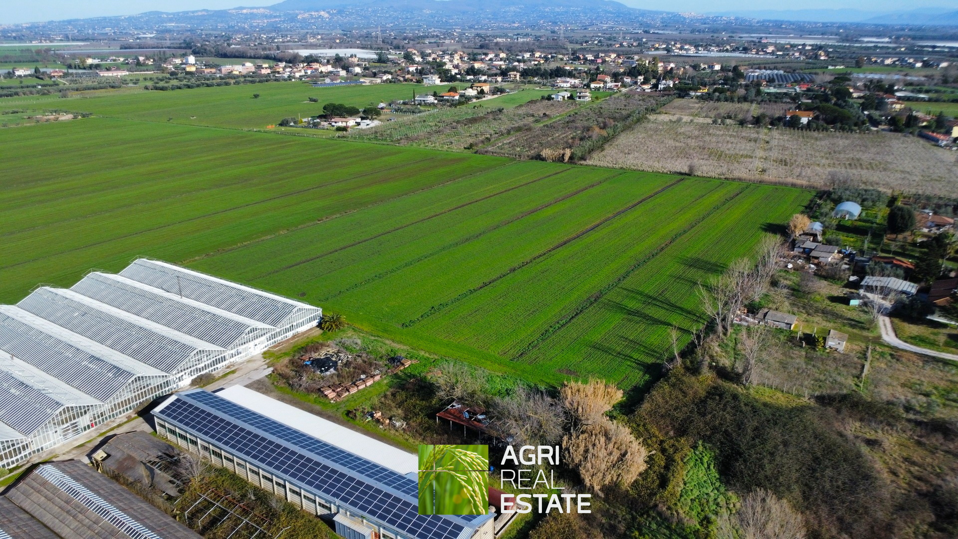 /api/file/public/265444/31373