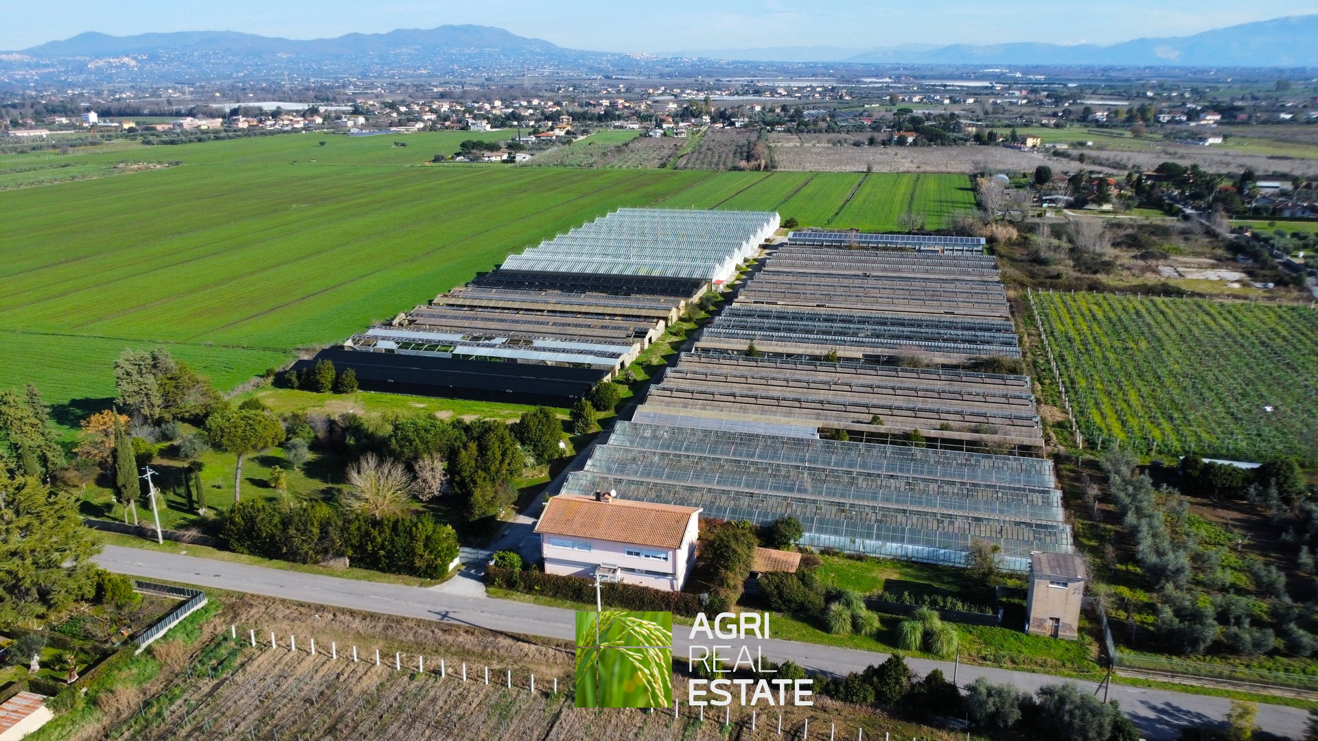 /api/file/public/265444/31374