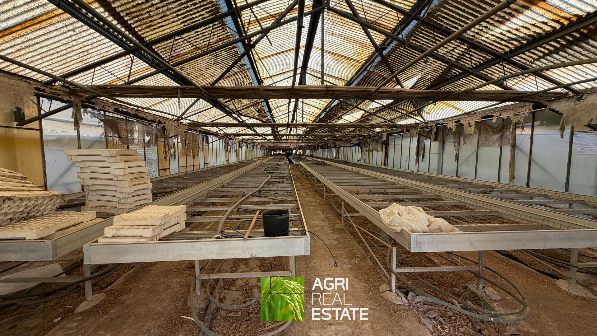 /api/file/public/265444/31376