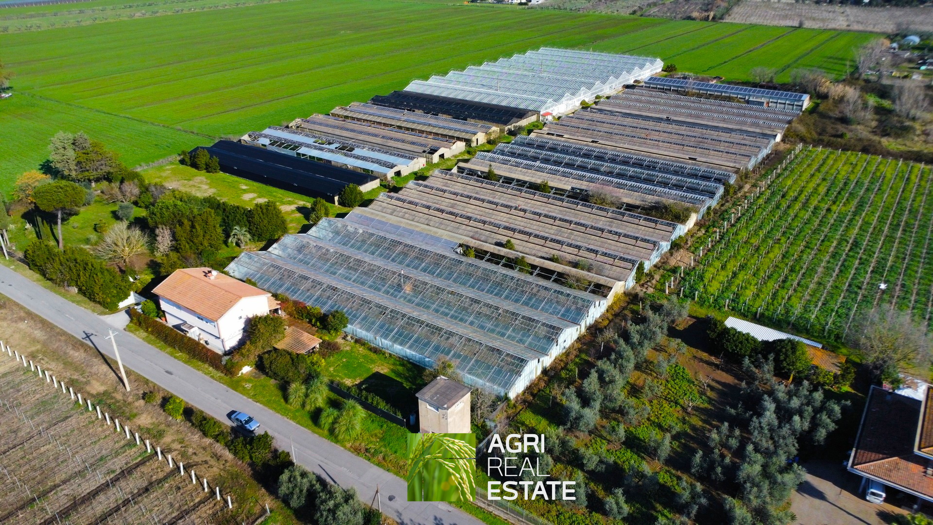 /api/file/public/265444/31377