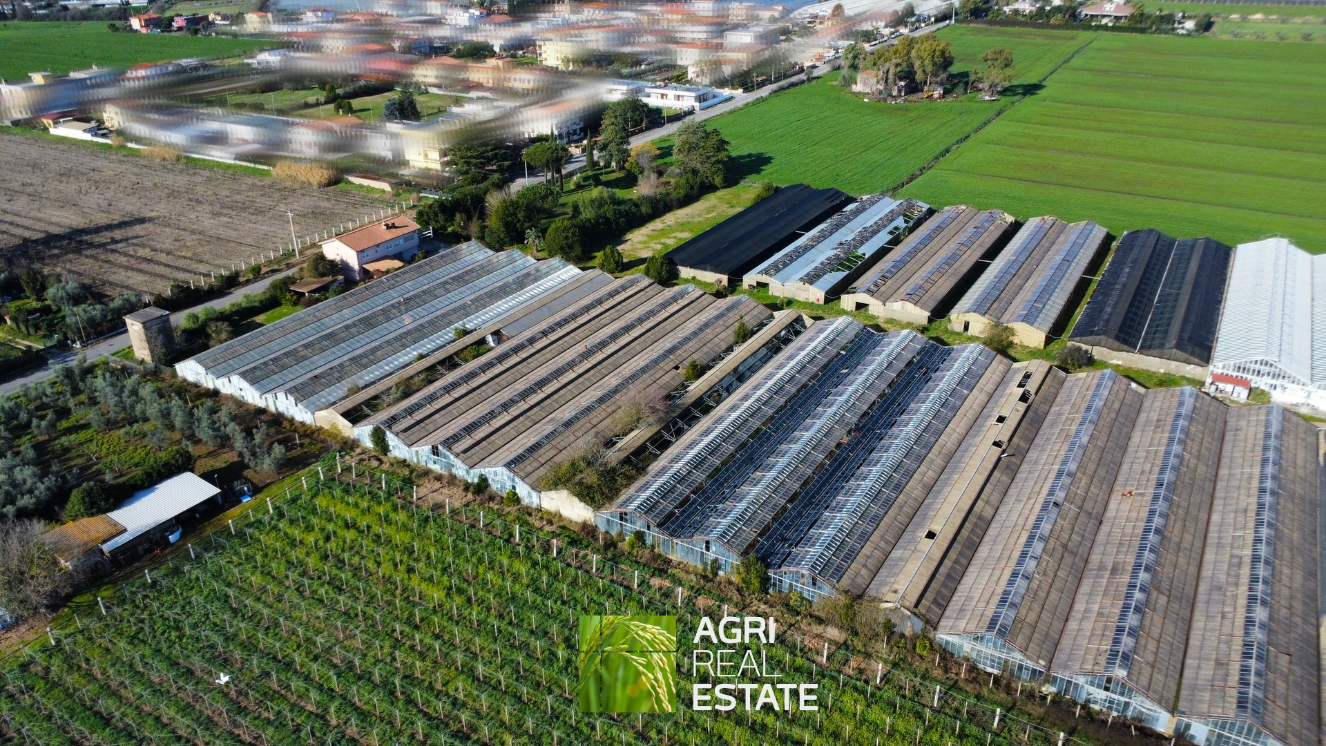 /api/file/public/265444/31378