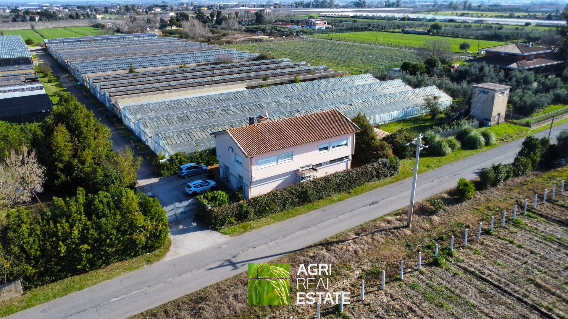 /api/file/public/265444/31379