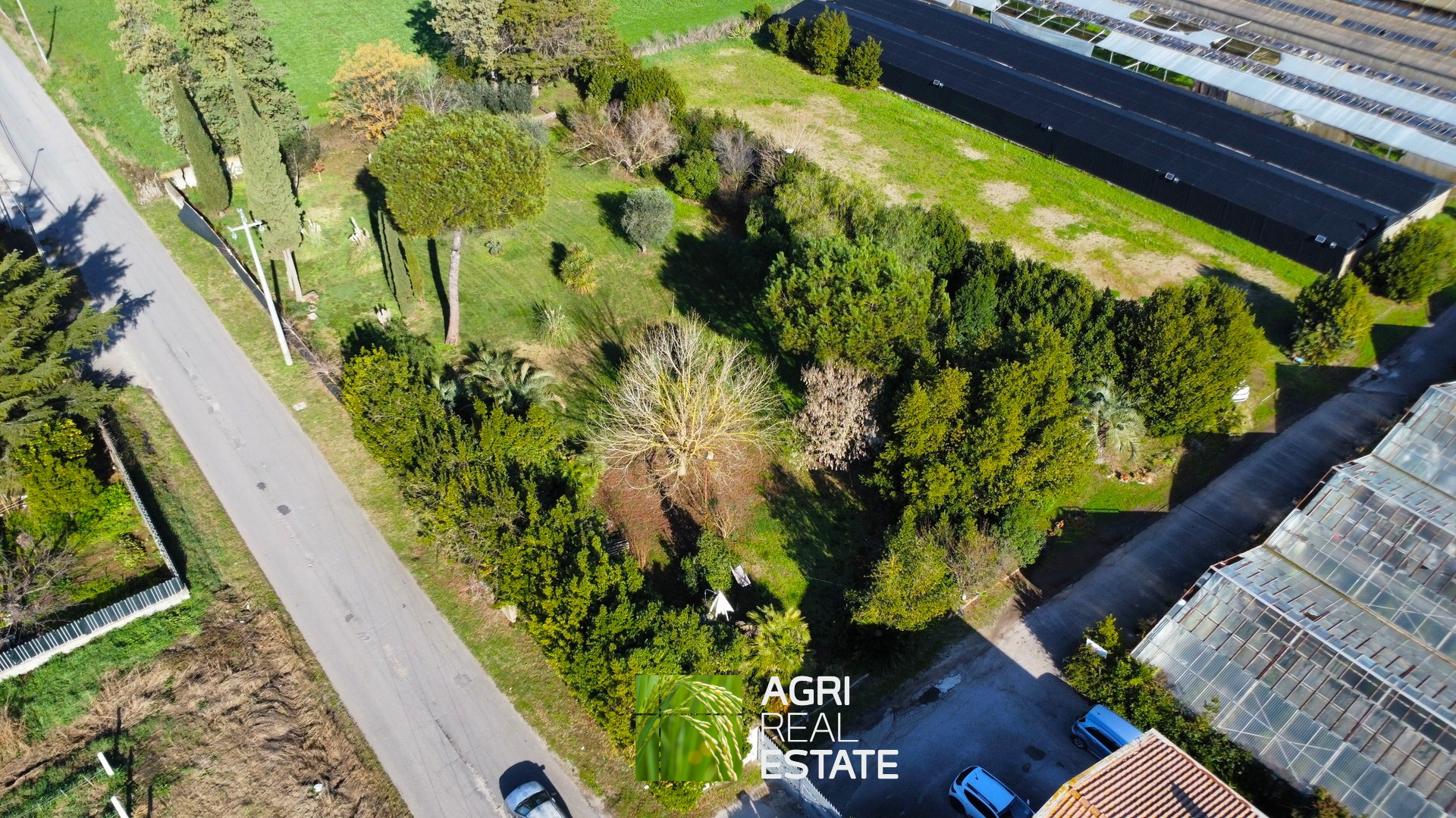 /api/file/public/265444/31380