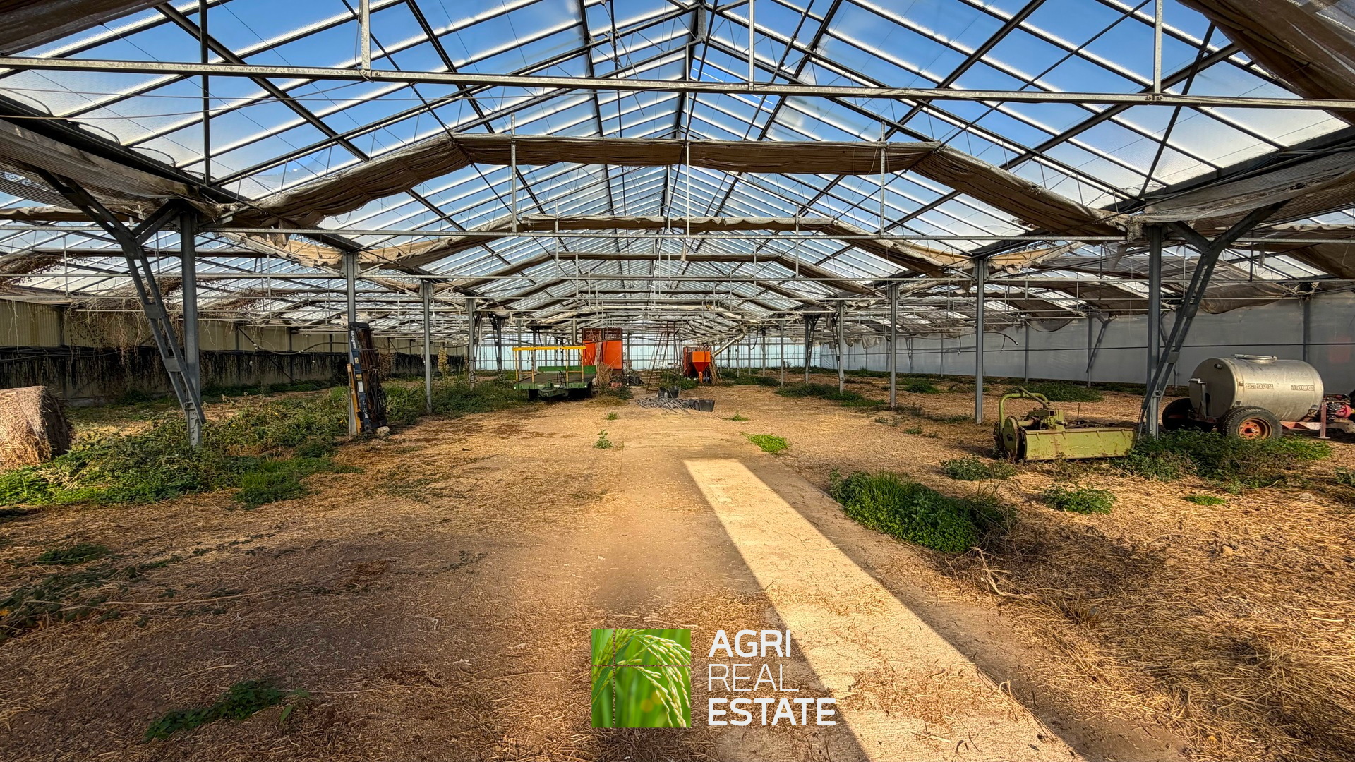 /api/file/public/265444/31381