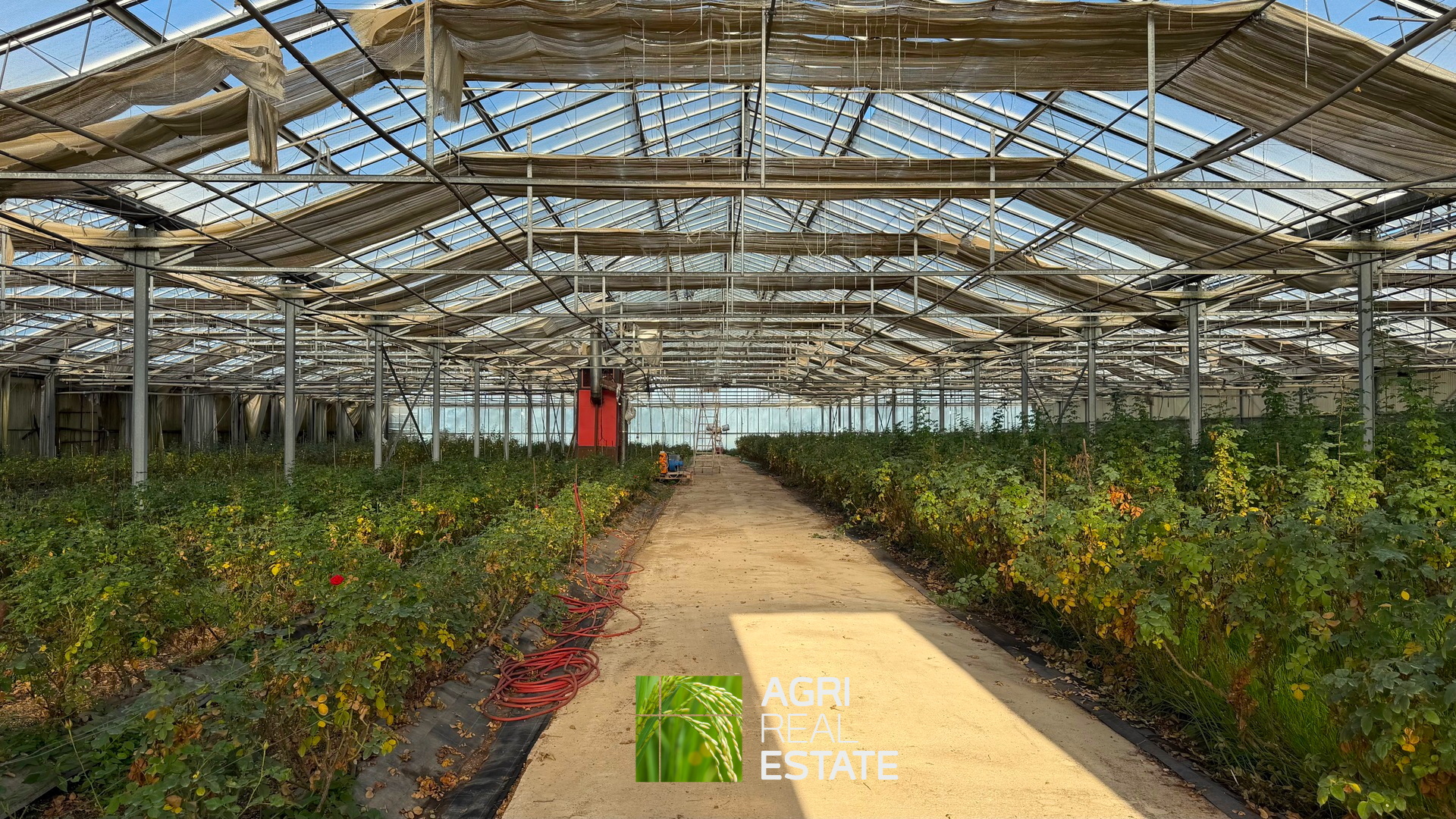 /api/file/public/265444/31383