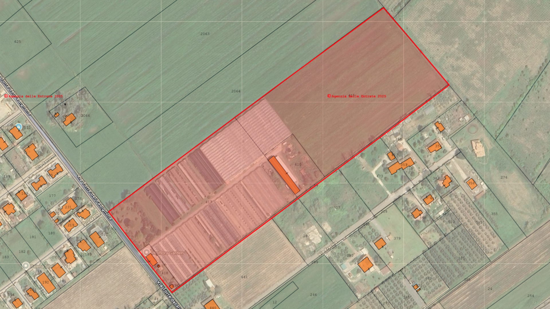 /api/file/public/265444/31384