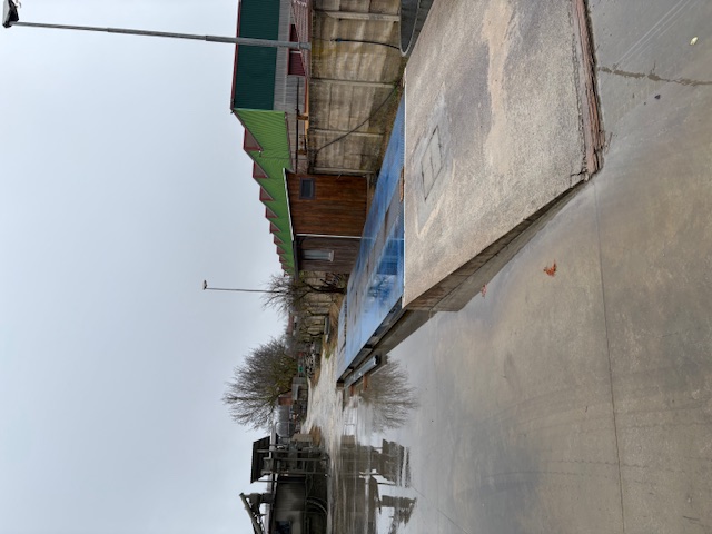 /api/file/public/265445/31385