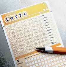 /api/file/public/265451/31429