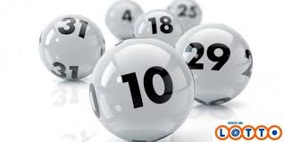 /api/file/public/265451/31443