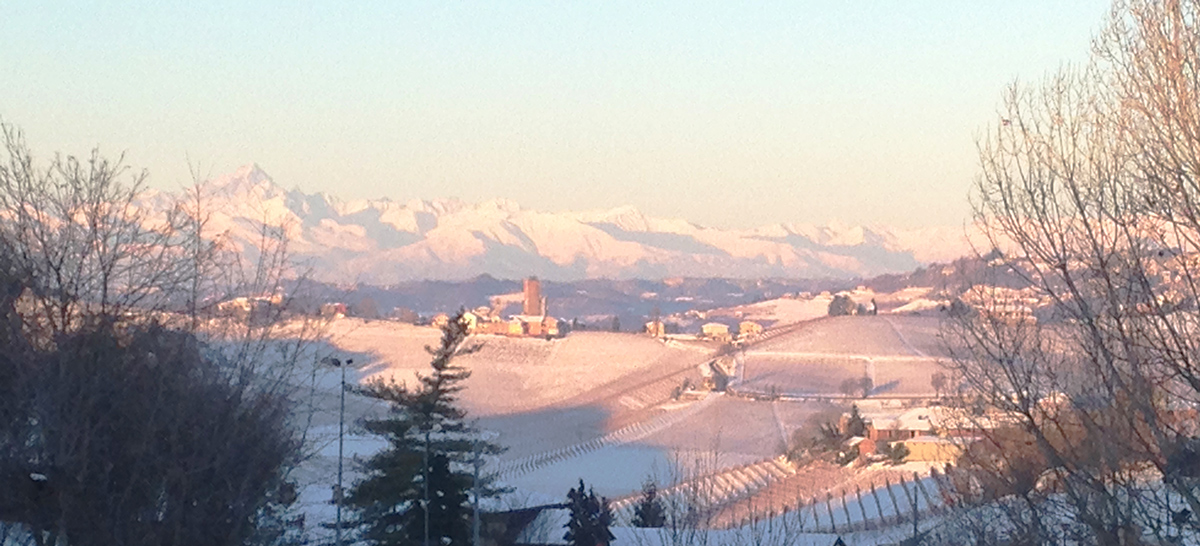 /api/file/public/265457/31492