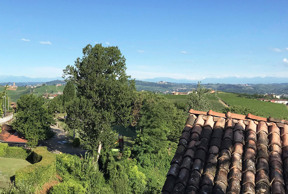 /api/file/public/265457/31506