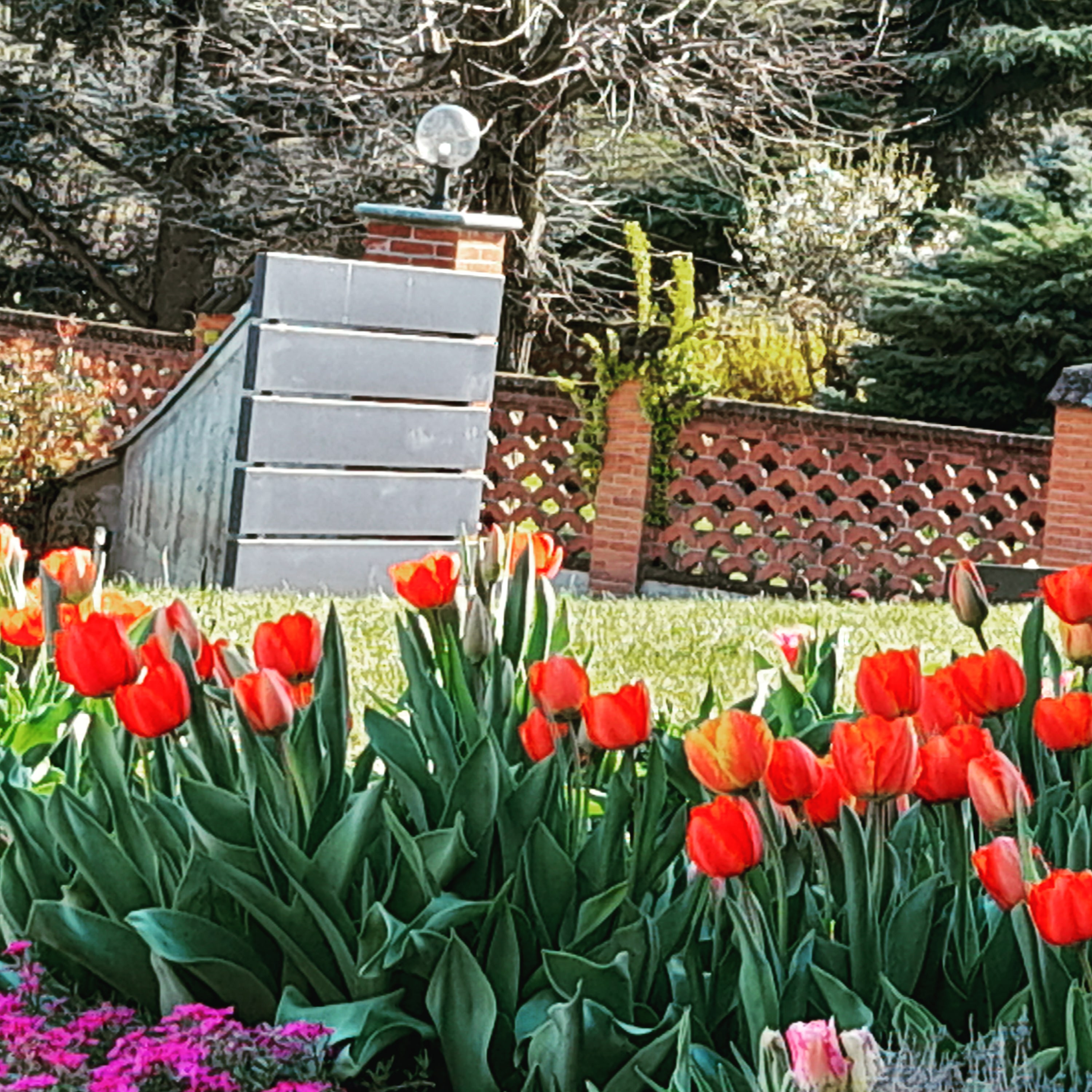 /api/file/public/265458/31529