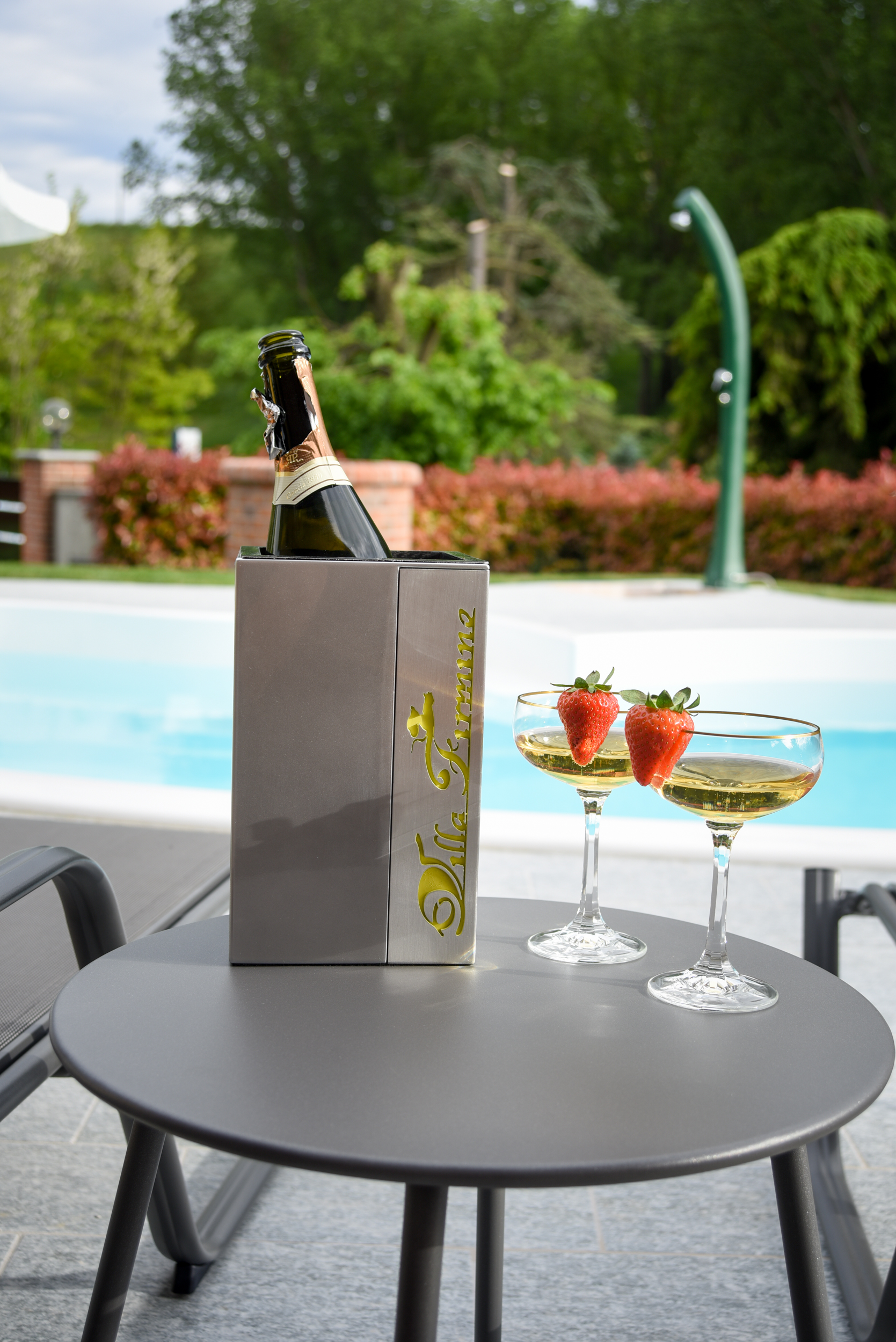 /api/file/public/265458/31531