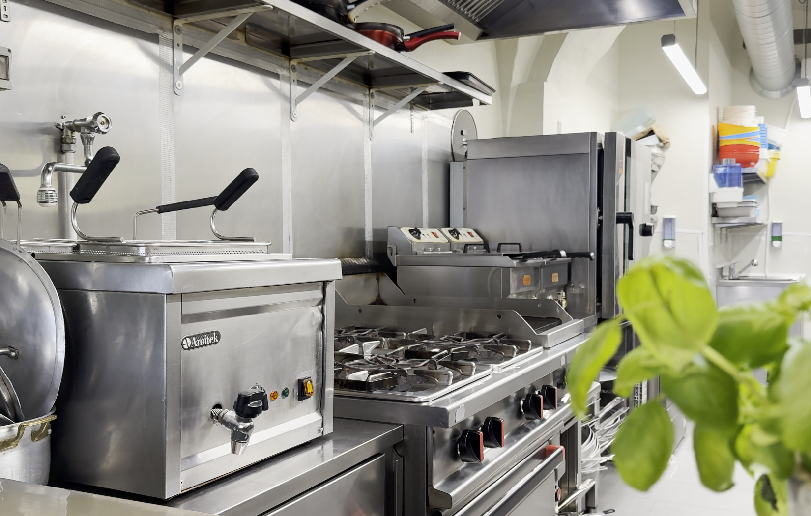 /api/file/public/265460/31549